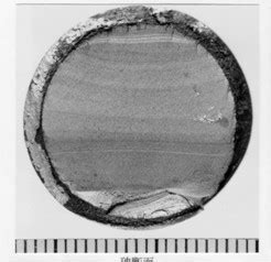 Solved Label The Fracture Surface Evidence For The Bolt Chegg