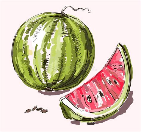 Realistic Pencil Drawing Realistic Watermelon Drawing You will also ...