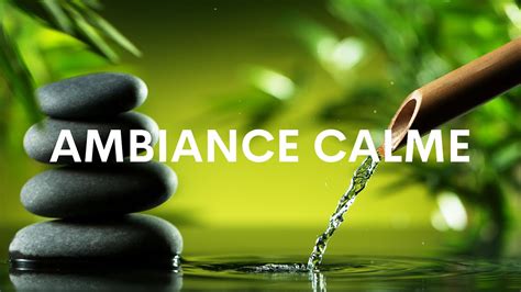 Musique Calme Ambiance Relaxante Et Douce Yoga Detente Spa Youtube