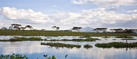 Exclusive Travel Tips for Your Destination Lake Naivasha in Kenya