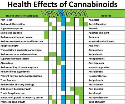 Printable Terpenes Cannabinoids Chart Printable Templates