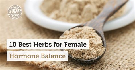 10 Best Herbs For Female Hormone Balance