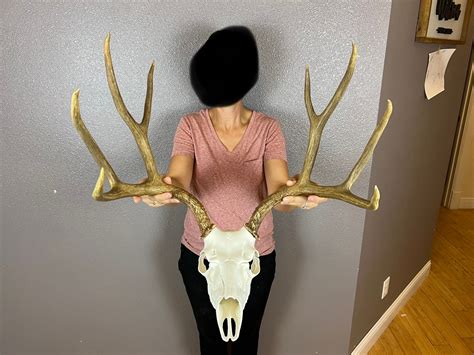 King Antler Antler Mounting Kit