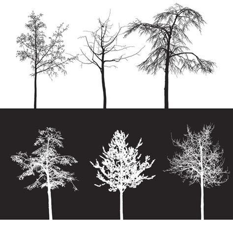 10 Trees Brushes - Photoshop brushes