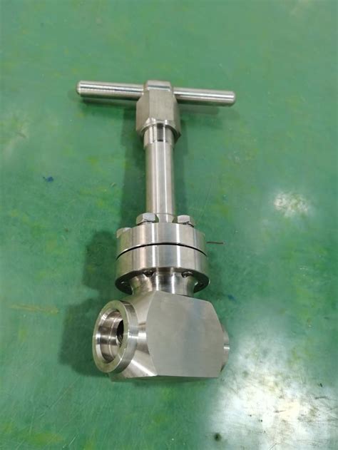 Pn Dn To Dn Cryogenic Globe Valve Ss Sw Connection For Lng