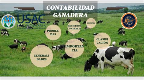 CONTABILIDAD GANADERA By Brandon Casia On Prezi