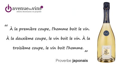 Épinglé Par Avenuedesvins Sur Des Mots Et Du Vin Vin Humoristes