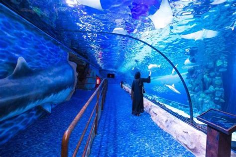 Burj Khalifa And Dubai Aquarium Tickets Combo Offer