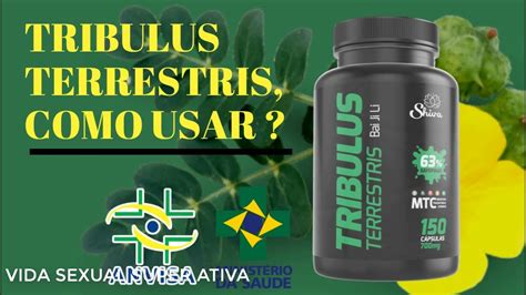 Tribulus Terrestris Como Usar Tribulus Terrestris Como Tomar Youtube