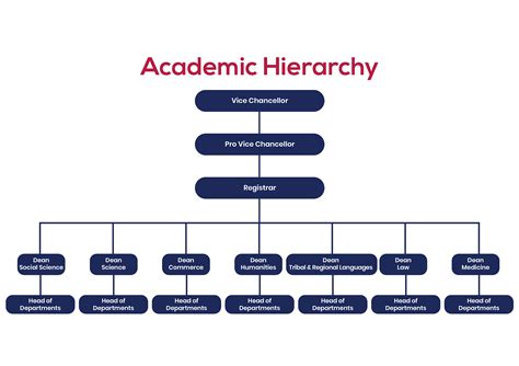 Institutional Hierarchy Ranchi University