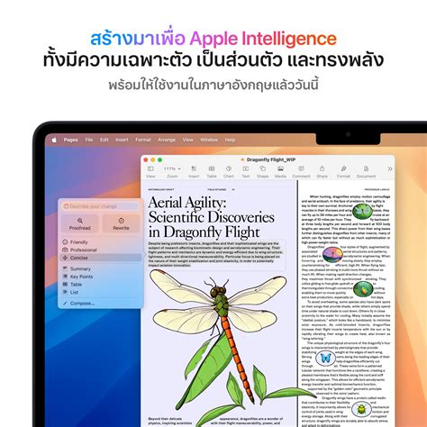 ซื้อ MacBook Air รุ่น 15 นิ้ว M4 chip 10C CPU/10C GPU/16GB/256GB สี
