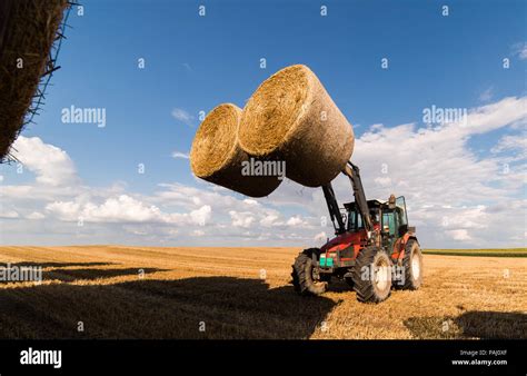 Collecting The Bales Hi Res Stock Photography And Images Alamy