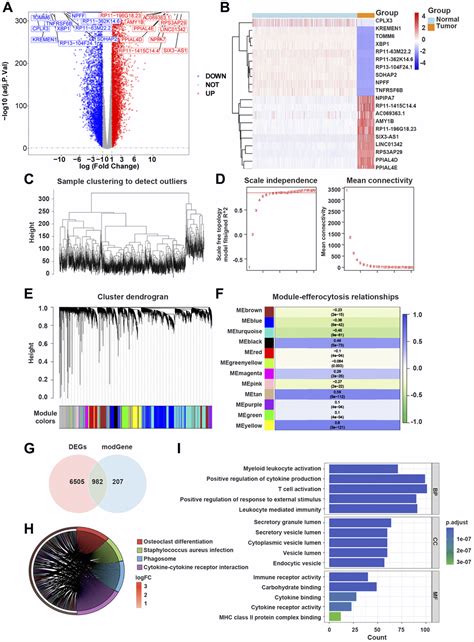 Development Of A Prognostic Model For Glioblastoma Multiforme Based On