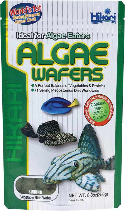 Glofish Shark Care Guide Diet Habitat Breeding Accessories