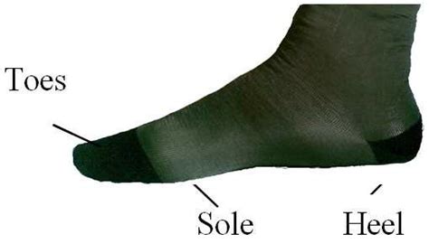 Different Parts Of Socks Download Scientific Diagram