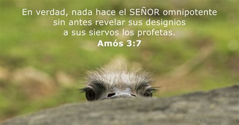 Amós 3 RVR60 NVI DailyVerses net