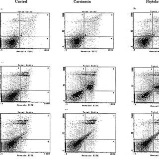 A Cell Cycle Progression Analyses Of The HMLE MCF 7 And MDA MB 231