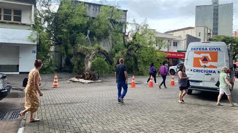 Temporal causa estragos na região Carbonífera Linha Verdade