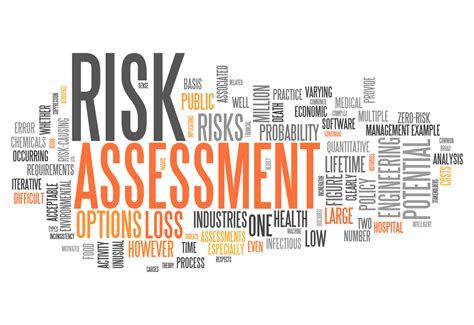 Risk Assessment Logo