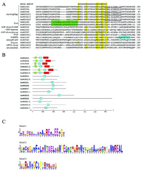 Alignment And Conserved Motifs Of The Amino Acid Sequences Of The