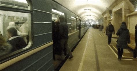 Гифки дня | Пикабу