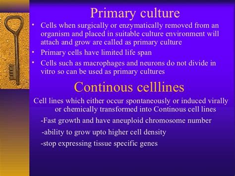 Cell Lines Basics