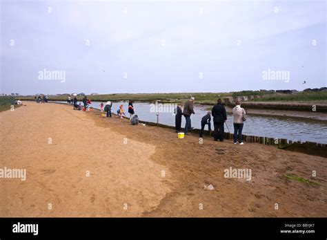 Crabbing at Walberswick Suffolk Stock Photo - Alamy