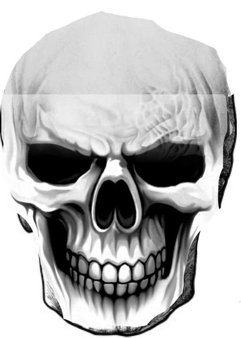 A Black And White Drawing Of A Skull