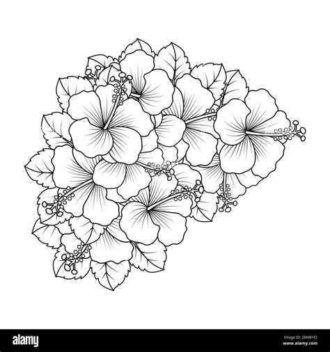 Rose Of Sharon Flower Coloring Page Illustration With Line Art Stroke