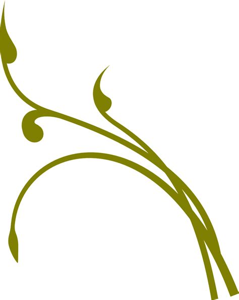 20000 Free Vines Transparent And Vine Images Pixabay
