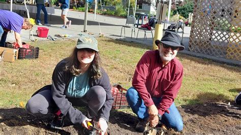 Daffodil Project A Spring Update Temple Beth Abraham Nashua NH