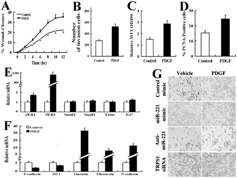 Aspc 1 Cells Incubated With Vehicle Or Pdgf Bb 20 Ngml Were