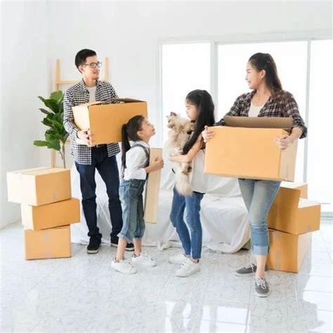 Home Relocation Service In Boxes Pan India Blue Bird Trans Solutions