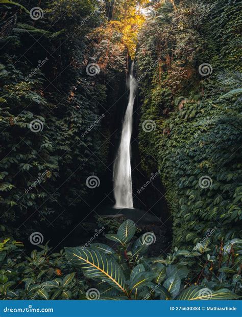 Leke Leke Waterfall In Tropical Jungle And Alone Woman In Bikini In