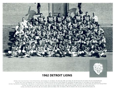 1962 DETROIT LIONS 8X10 TEAM PHOTO FOOTBALL NFL PICTURE