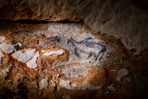 Marseille La Grotte Cosquer Change La Voix De Philippe Caub Re Mis En