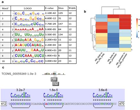 Enriched Sequence Motifs Within Heat Responsive Lncrnas A Ten Motifs