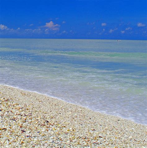 Sanibel Island beach | Sanibel island beaches, Sanibel island, Sanibel ...