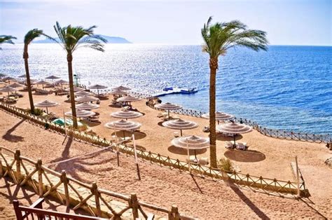 Sharm El Sheikh Pogoda Sprawd Kiedy Jecha Do Sharm El Sheikh