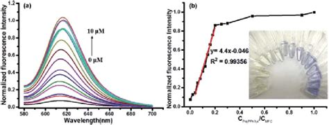 A Normalized Fluorescence Intensity Spectra Of Probe Mfc Mm Upon