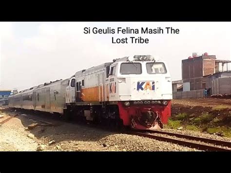 Si Geulis Felina Masih The Lost Tribe Kereta Api Ka Malabar Pagi