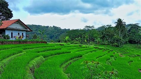 Siapa Yg Mau Tinggal Di Sini Rumah Terpencil Di Ujung Kampung Dengan