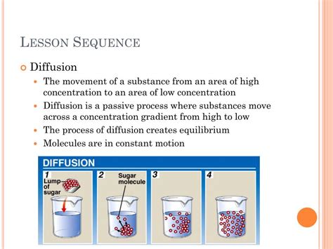 Ppt Osmosis And Diffusion Powerpoint Presentation Free Download Id