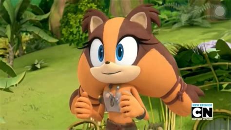 Sticks The Badger Sonic Boom Sonic Boom Sonic Badger