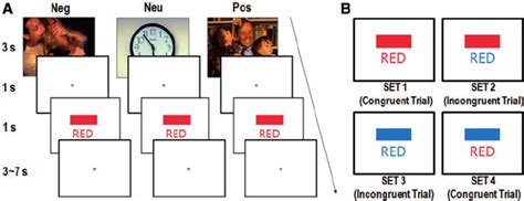 In A Modified Version Of The Classic Stroop Task A Subjects Were Download Scientific