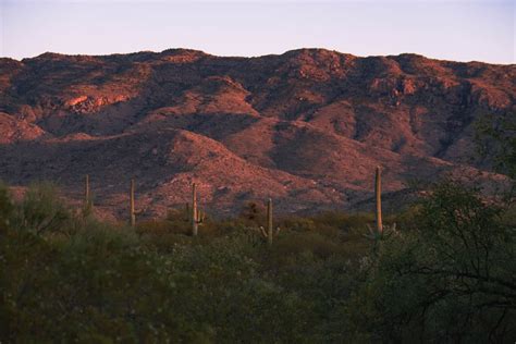 11 Best Tucson Hiking Trails