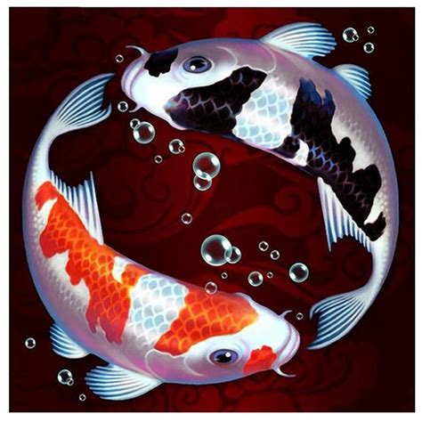 Diy Diamond Painting Koi Fish D Diamond Embroidery Yin And Yang Cross