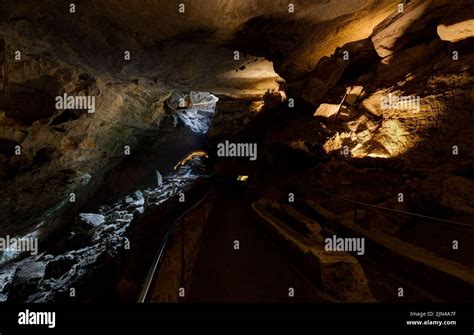 Bat Cave Carlsbad Caverns National Park New Mexico Usa Stock Photo