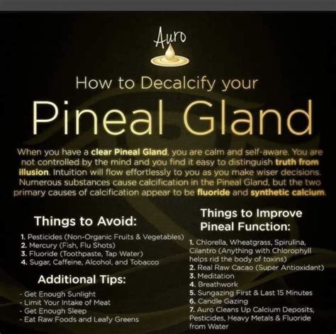 20 Ways To Heal Pineal Gland Calcification Open The Third Eye Artofit