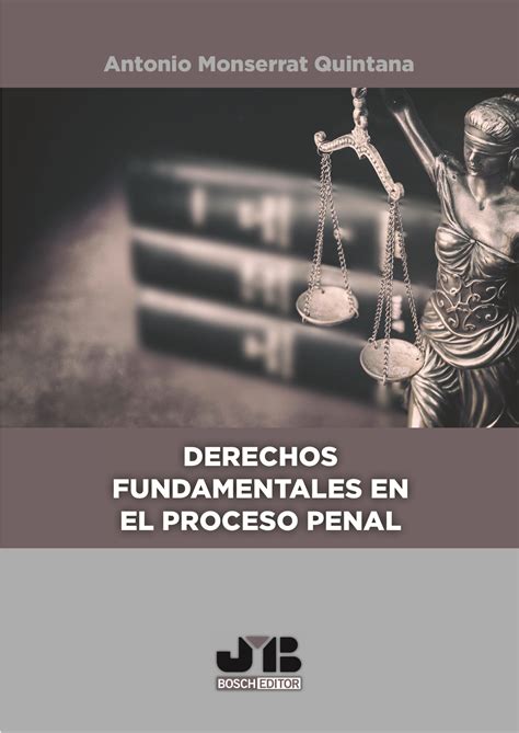 Librería Dykinson Derechos Fundamentales En El Proceso Penal